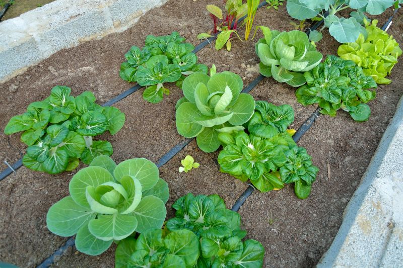 Subsurface Drainage Installation