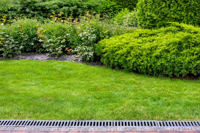 Yard Drain Installation in Birmingham, AL