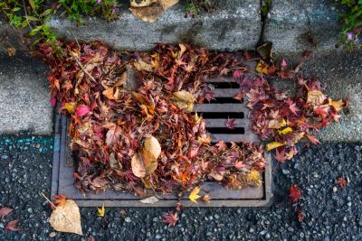 Remove Dirt and Debris From the Storm Drains